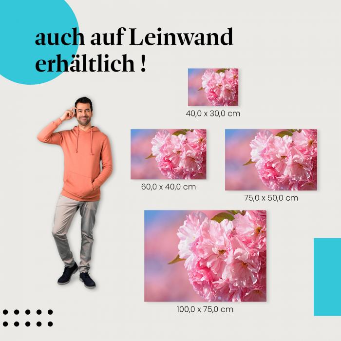 "Kirschblüten in voller Pracht" Leinwandbild. Finde die ideale Größe für dein Zuhause & setze Akzente mit Kunst!